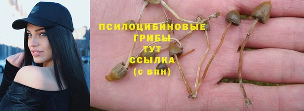 метадон Арсеньев