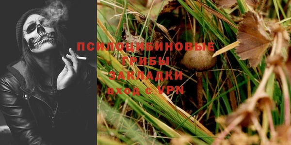 метадон Арсеньев