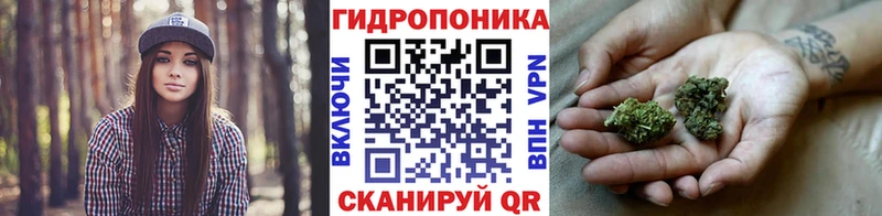 купить  сайты  блэк спрут онион  МАРИХУАНА сатива  Северо-Курильск 